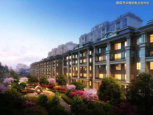 (dl游戏里面什么意思)探寻DL是什么意思游戏:深度解析DL在游戏中的含义 (dl游戏里面什么意思)探寻DL是什么意思游戏:深度解析DL在游戏中的含义