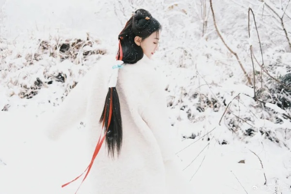 (雪中回眸所有作品)雪中回眸三部曲是哪三部？揭开神秘面纱，探寻其中秘密。